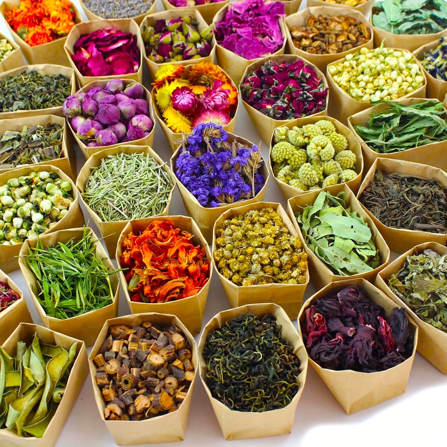 Dried Flowers Craft Set for DIY Projects and Seasonal Decor - Earth Heart Resources