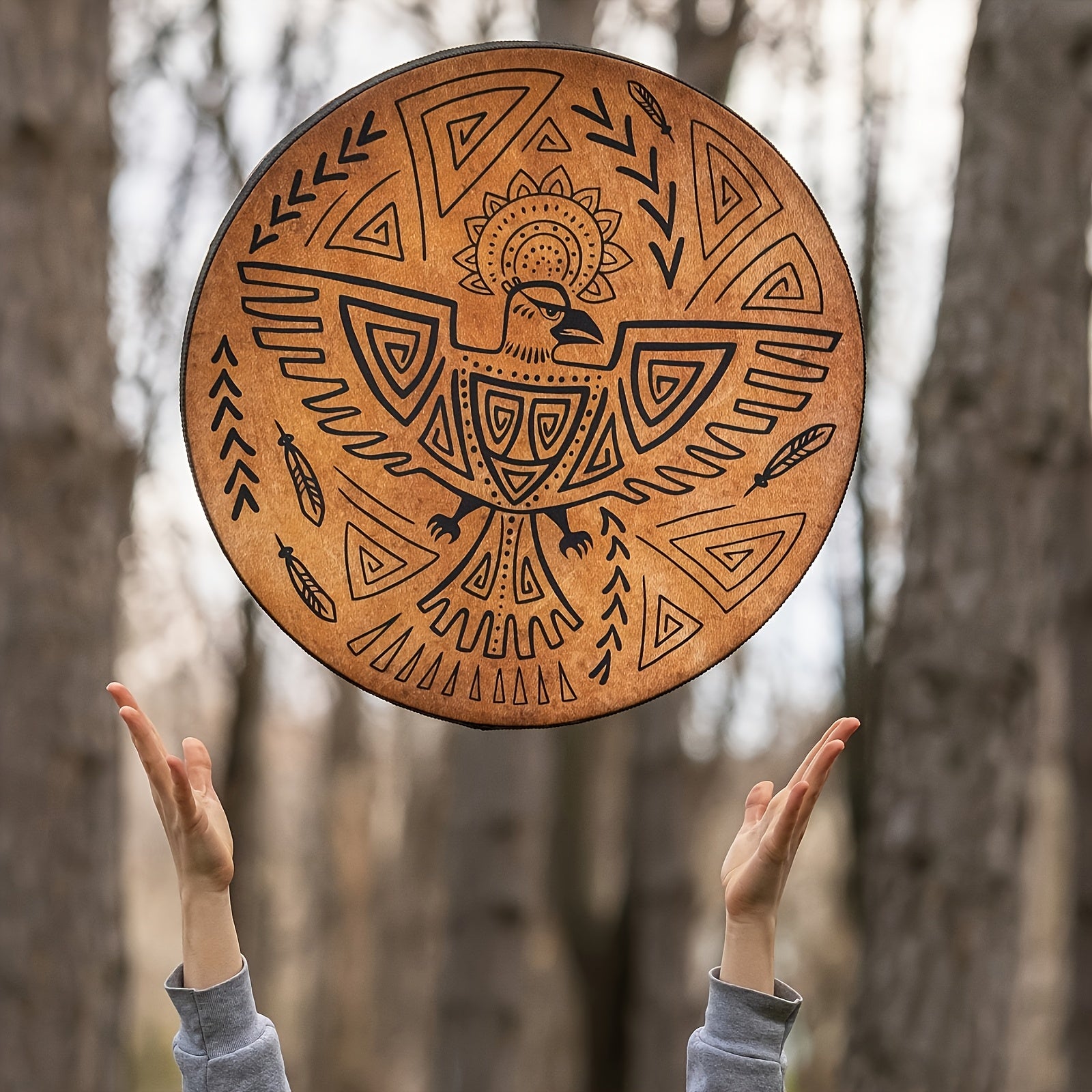 Sacred Shamanic Bird Drum for Meditation and Spiritual Reflection - Earth Heart Resources