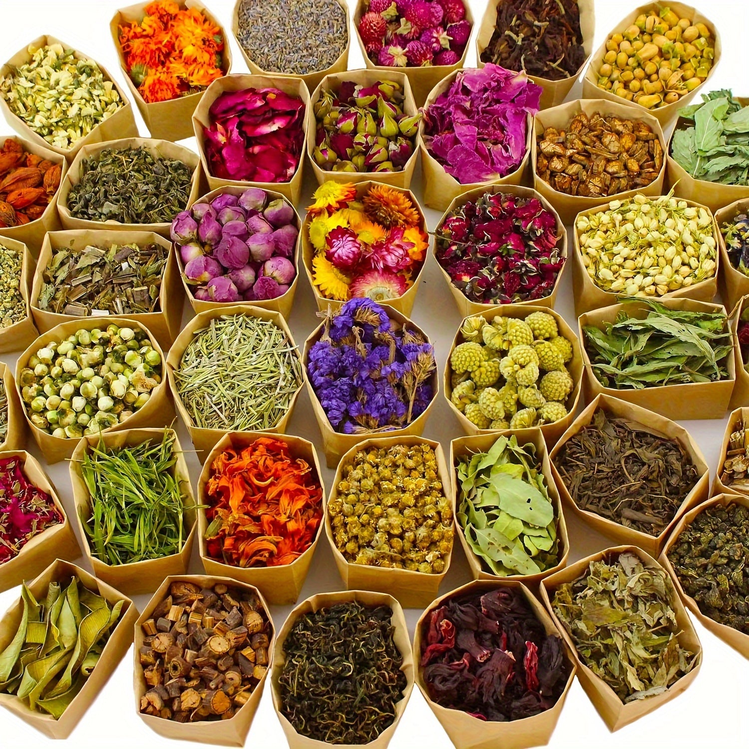 Dried Flowers Craft Set for DIY Projects and Seasonal Decor - Earth Heart Resources