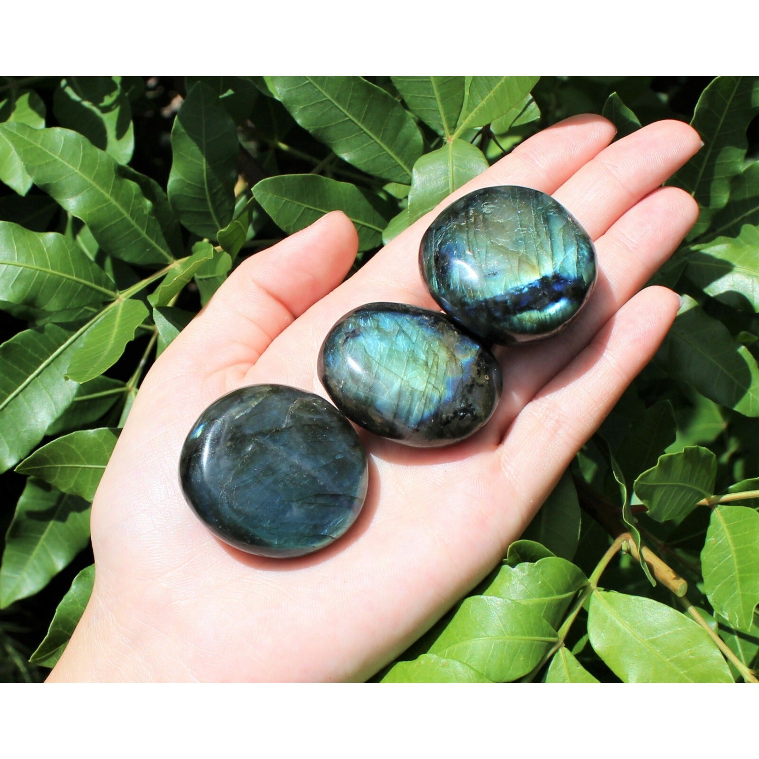 Hand Polished Labradorite Palm Stones for Healing and Meditation - Earth Heart Resources