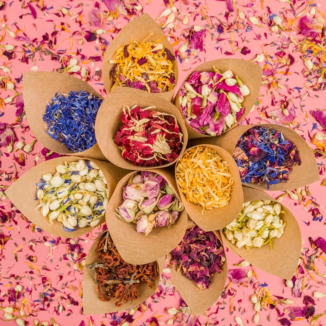 Dried Flowers Craft Set for DIY Projects and Seasonal Decor - Earth Heart Resources